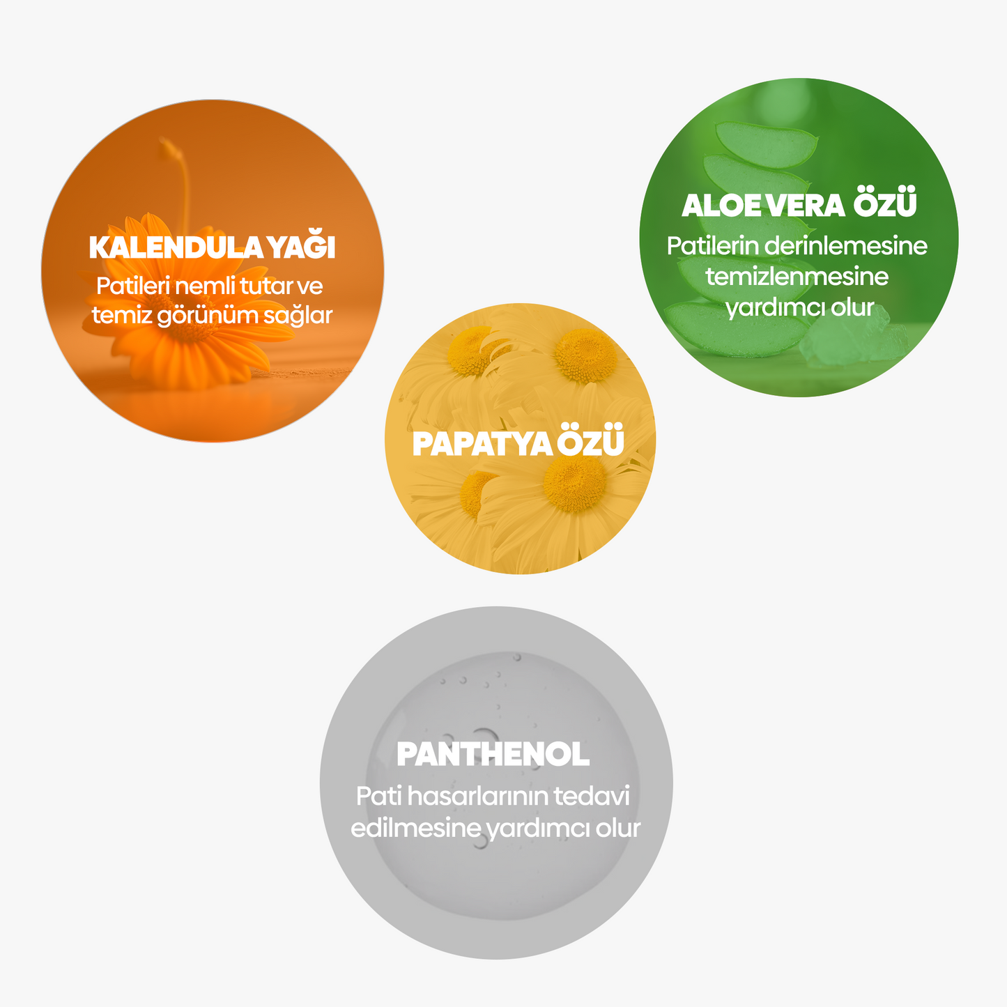 Pati Temizleme Köpüğü