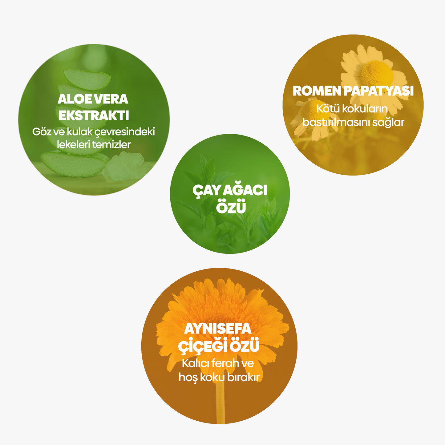 Gözyaşı Lekesi ve Kulak Temizleme Solüsyonu