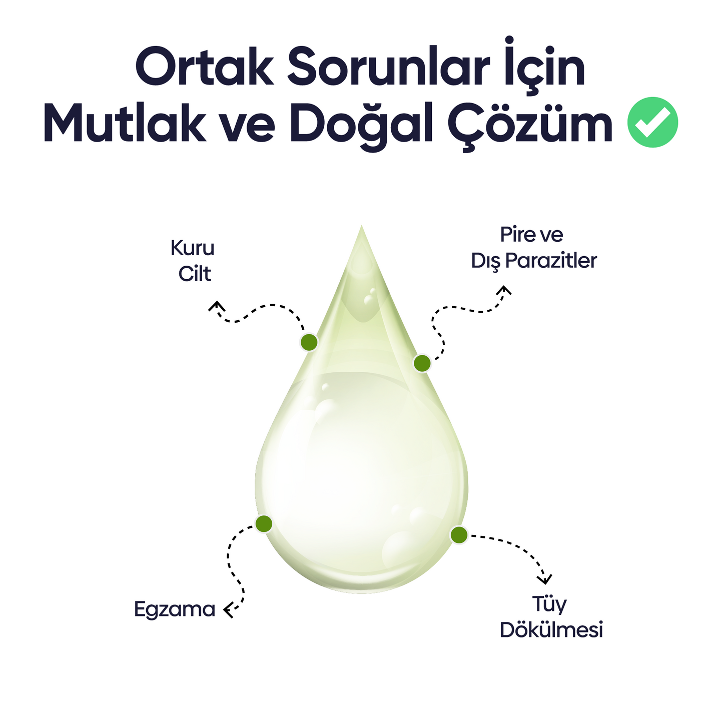 Arındırıcı Şampuan