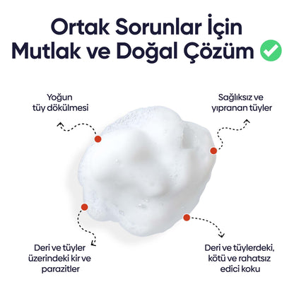 Kuru Şampuan