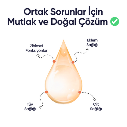 Köpekler İçin Somon Yağı